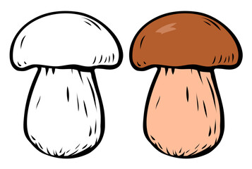Porcini sketch. Edible forest mushroom. Brown mushroom cap. Delicious nutritious natural food. Healthy ingredient for cooking. Vector isolated illustration color and black. Hand drawn line sketch