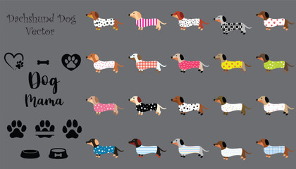 Dachshund Dogs vector Set with multiple Dresses, Dog Paws and Dog mam, Graphic Vector
