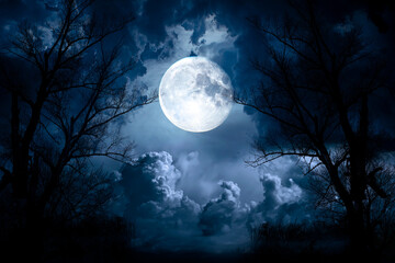 Night sky with moon and dramatic trees. Dramatic clouds in mystic moonlight. Large bright moon as concept of mystery, midnight, gothic time and spooky theme. Halloween concept. - obrazy, fototapety, plakaty