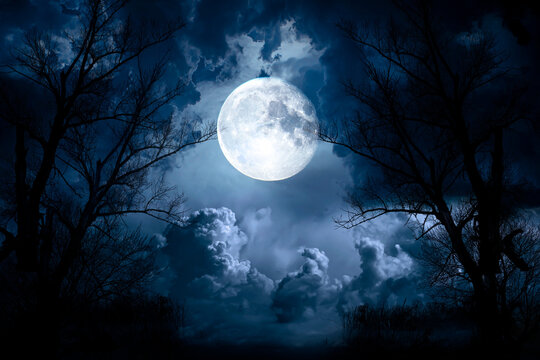 Night sky with moon and dramatic trees. Dramatic clouds in mystic moonlight. Large bright moon as concept of mystery, midnight, gothic time and spooky theme. Halloween concept.