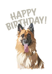 German shepherd Breed Happy birthday card. Card with a dog and text, holiday design. Present for a dog lover. Funny cartoon dog breed illustration. Minimalistic birthday card with spaniel. Fun present