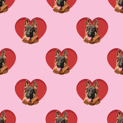 German shepherd dog with paws pattern, Valentine's day pink hearts wallpaper. Love heart with pet head holiday texture. Dog face Holding Heart Cartoon square background. St Valentine's day present.