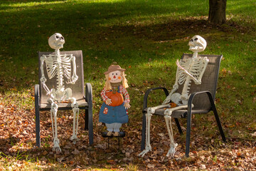 These Halloween decorations were set out on the yard to get into the spirit of the holiday. The two skeletons look to be having a party with the scarecrow in the center. Brown leaves on the ground. - Powered by Adobe
