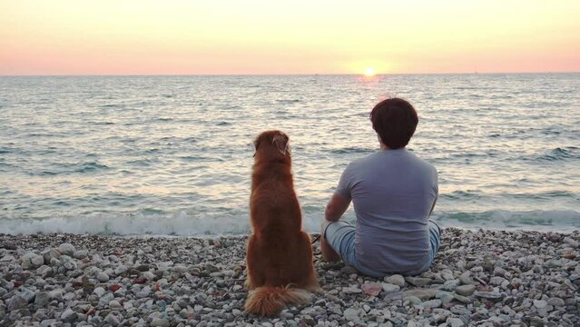 a guy on the beach with a dog sitting and looking at the sea. Man with Nova Scotia Duck Tolling Retriever at sunset 