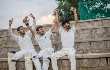 Cricket players encouraging their teammates during cricket match at the stadium