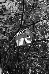 birdhouse hanging in the woods in black and white