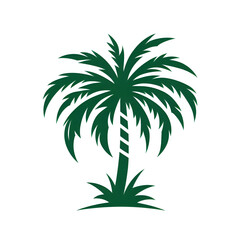 palm tree illustration isolated on white background 
