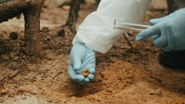 Taking probe of soil in forest, Geologist man worker taking measurements of soil probe by scientific equipment. Chemist on nature. 