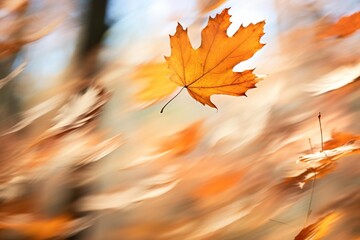 Panning shot of autumn leaves on a windy day creating a blur of color