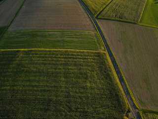 View from above of a countryside with a road between agriculture fields on a sunny evening 