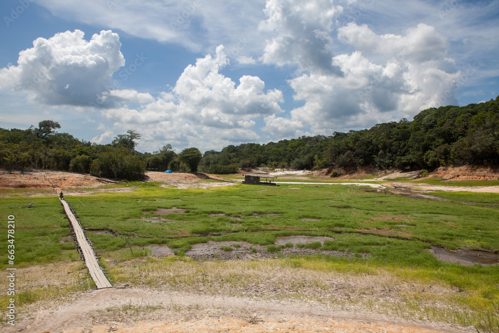 Wall mural Dry river in extreme drought in the Amazon Rainforest. Wooden bridge over the dry riverbed in the middle of the largest tropical forest in the world. Concept of climate change, global warming, ecology