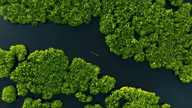 Aerial view of people on a canoe sailing along the Maasin River, Siargao, Philippines.