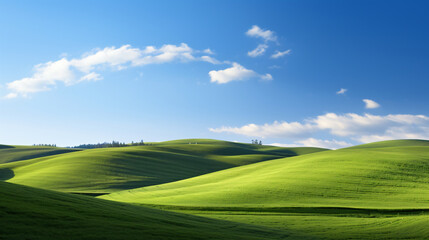 Obraz premium Fresh green fields in spring with a blue sky backdrop on a hill