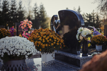 Colorful chrysanthemums decorate the tombstones in the cemetery. Floral decoration on a tomb stone. Autumn scene. Chrysanthemum flowers on the grave during All Saints' Day