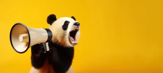 Gartenposter Panda with loudspeaker on yellow background © spyrakot