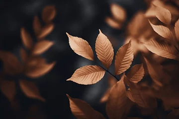 Foto op Aluminium Close-up of brown plant leaves against a matching brown background, capturing the essence of autumn's serene beauty. © Kishore Newton