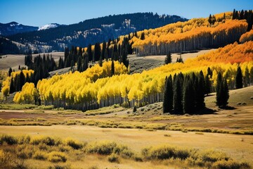 Colorful autumn aspen trees dotted across mountainous landscape with a beautiful meadow. Generative AI