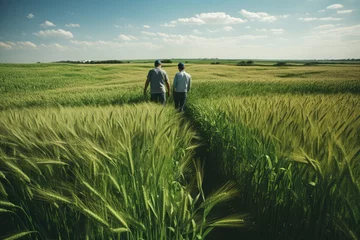 Türaufkleber Two farmers agriculturists inspecting a Wheat Crop in field. walking and talking through green field with clear blue sky background © gankevstock