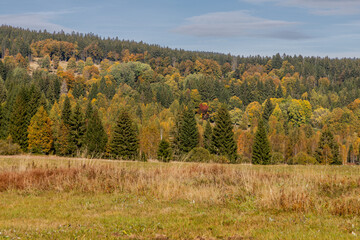 autumn mountain meadows on a sunny day