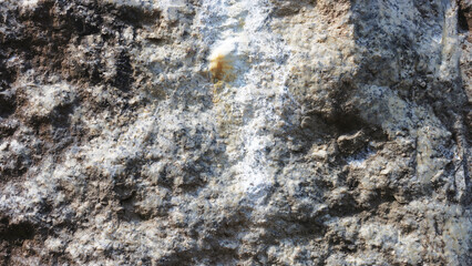 Rough texture of organic stone.