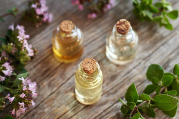 Obraz na płótnie Canvas Bottles of aromatherapy essential oil with fresh blooming oregano plant
