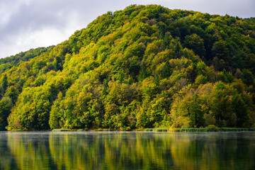 Fototapeta na wymiar lake in the woods at plitvice lakes national park