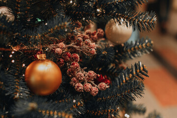Shiny golden Christmas ball and red berries hanging on the Christmas tree. Festive winter holiday background
