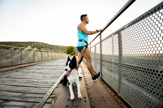 An adult runner with an amputated arm stretches his calf leg on an outdoor bridge fence at sunset with his dog. Canicross concept. Activities with a border collie. Running with pets.
