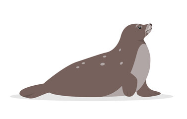 Seal animal icon isolated on white background. Sea or ocean water mammal animal seal. Nature Vector flat or cartoon illustration.