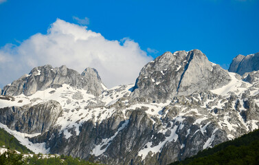 Obraz premium landscape with snow