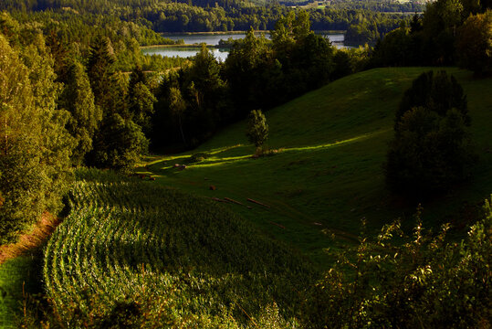 Na Ozie, widok na Suwalski Park Krajobrazowy