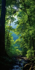 Fototapeta premium The Central Plateau of Malaya Holds a High Forest, a Verdant Jewel of Tropical Forest Ecology, Protecting CO2 Storage and the Untouched Riches of Earth's Green Lungs