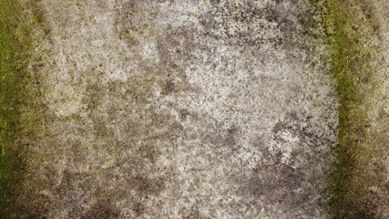 Abstract background from an old, abandoned concrete wall covered with green mold.