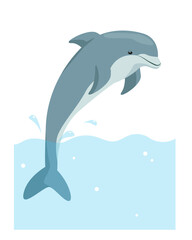 Dolphin animal. Cute dolphin jumping from water. Dolphins show. Ocean aquatic animal dolphin. Nature Vector flat or cartoon illustration isolated on white background.