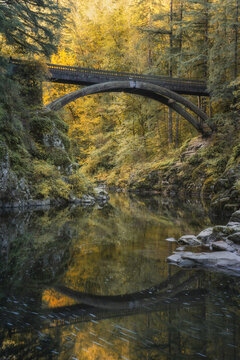 Fairytale arched footbridge reflecting over river water in forest