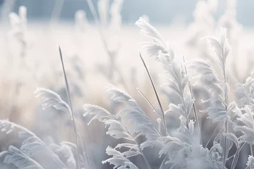 Fotobehang Beautiful background image of hoarfrost in nature close up. © Akmalism