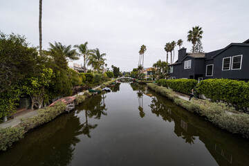 canale su venice beach con palme 
