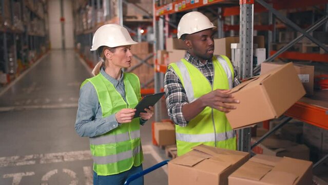 Multiethnic contractor working at warehouse. Man and woman organise materials for export. Female stock employee holding tablet and managing work process. African American man arranging boxes on racks.