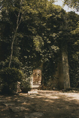 castle in the forest