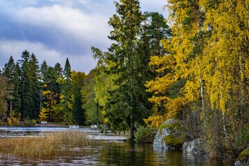 Natural museum-reserve 