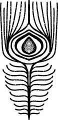 Peacock feather. Graphics, stylization, linocut. Vector element.