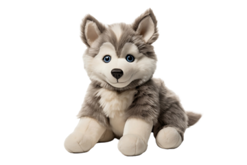 stuffed siberian husky puppy isolated on white background