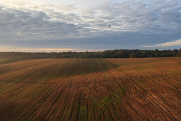A hot air balloons with people flies over forests and fields in the morning at dawn