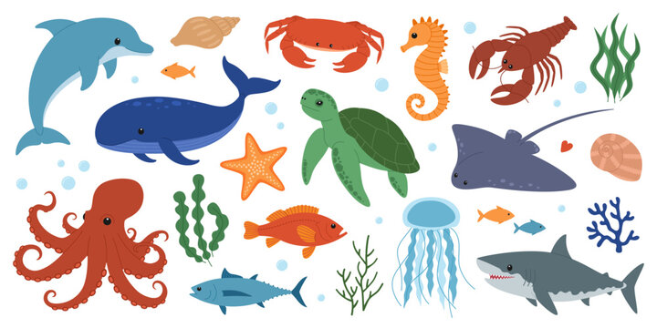 Set of sea and ocean animals. Cute dolphin, whale, crab, seahorse, starfish, lobster, turtle, stingray, octopus, shark, jellyfish and fish. Wild marine creatures. Underwater life. Vector illustration