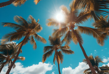 
Blue sky and palm trees view from below, vintage style, tropical beach and summer background, travel concept realistic image