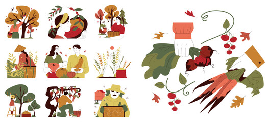 Harvesting season set. Farmers gathering or collecting ripe vegetables
