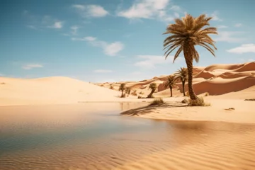 Deurstickers Palm Trees Line A Large Desert Oasis  © Jack