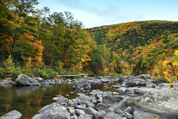 Fall foliage by a river in the Allegheny Mountains of Virginia, Goshen Pass autumn season