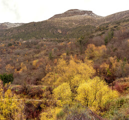 View to the mountain valley from a height