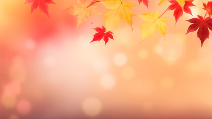 Naklejka na ściany i meble autumn leaves background. fall season concept